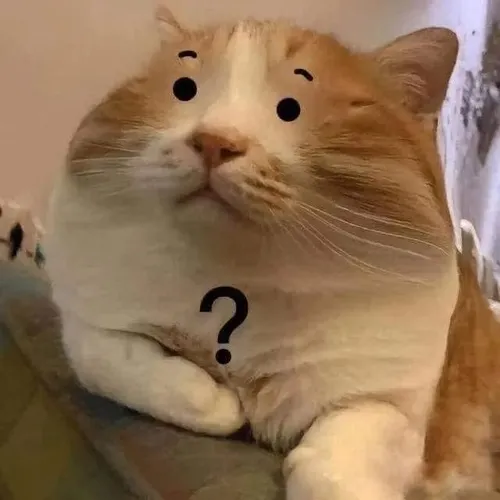 Meme chế mèo trắng có mắt long lanh xúc động cảm động