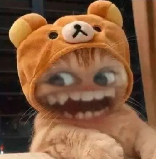 Meme chế thần thái lơ mơ khiến ai cũng sợ hãi