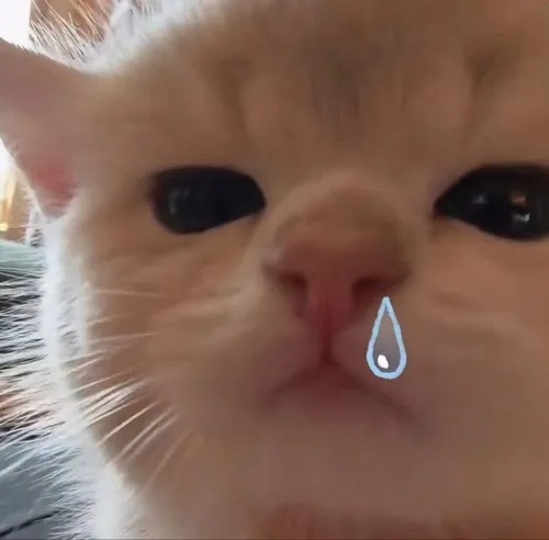 Meme chế nhìn chằm chằm vô cớ giữa cơn tức giận kín