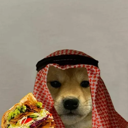 Hình hiển thị chó corgi tạo dáng kiểu Corgi Butt Pose mang nét corgi vui.