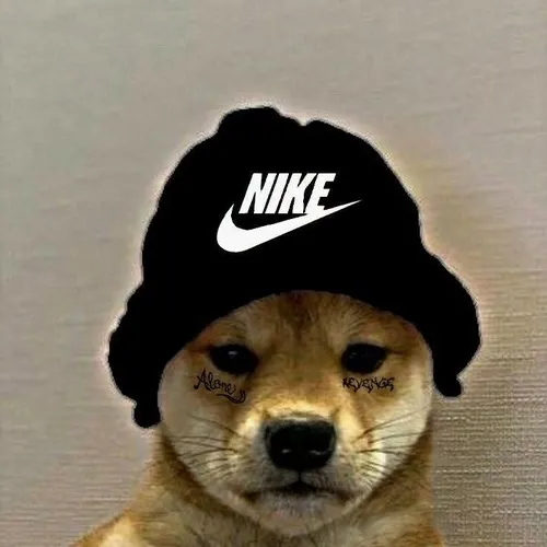 Ảnh profile Threads mô tả bộ lông thuộc tổng thể màu sắc