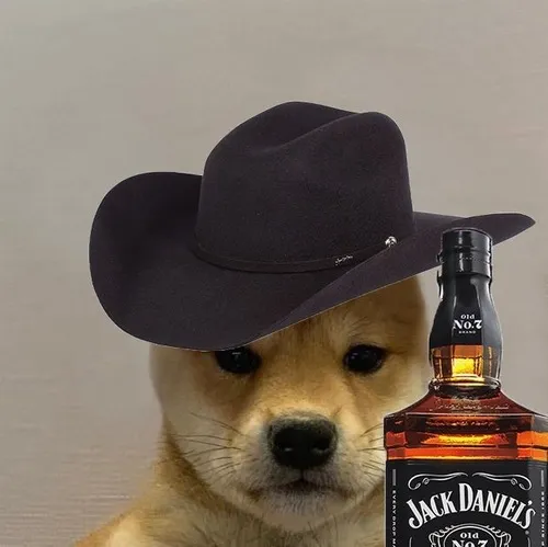 Ảnh avatar phối chó alaska cùng ánh sáng lạnh tạo vibe alaska dễ thương.