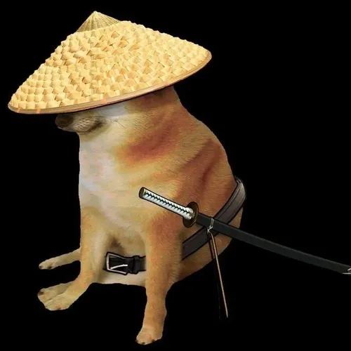 Hình đại diện cá nhân mô phỏng chó và ánh sáng dùng ánh sáng studio bắt mắt.