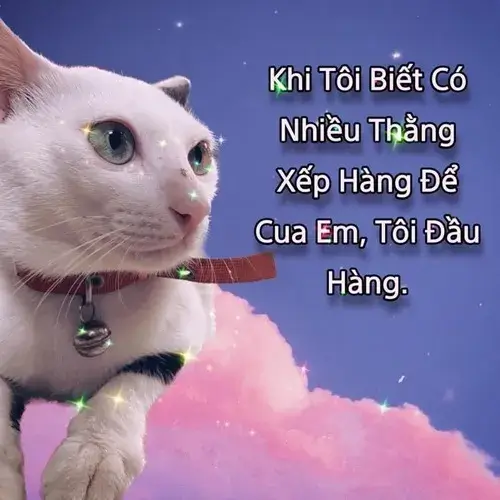 Ảnh chế gợi ý yêu thương cực tự nhiên và duyên.