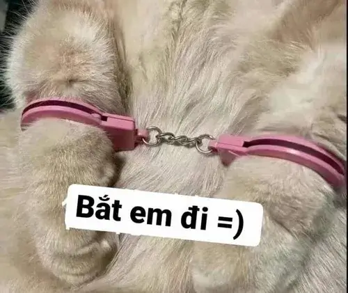 Ảnh thơ tán gái bằng lục bát siêu mặn khiến dân mạng cười ngất.