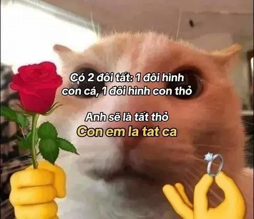 Meme thơ tình pha chút ngọt khiến người xem tan chảy.