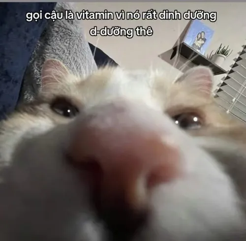 Ảnh thơ lục bát tán gái cực duyên, vừa hài vừa đáng yêu.