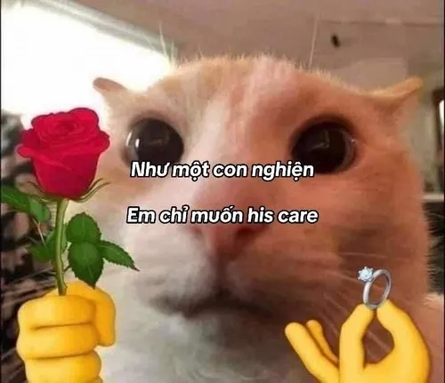 Meme thơ troll tình cảm khiến ai đọc cũng mỉm cười.