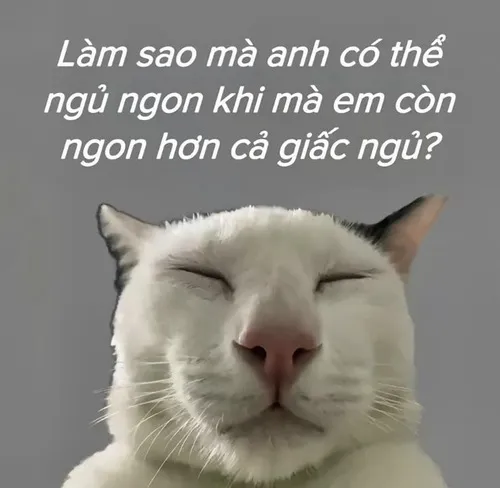 Meme thơ chế pha chút “cà khịa” khiến crush bật cười.