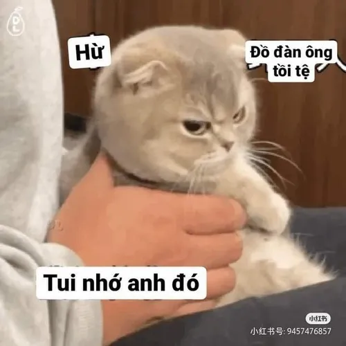 Ảnh vui kèm thơ troll tán gái duyên dáng và hóm hỉnh.