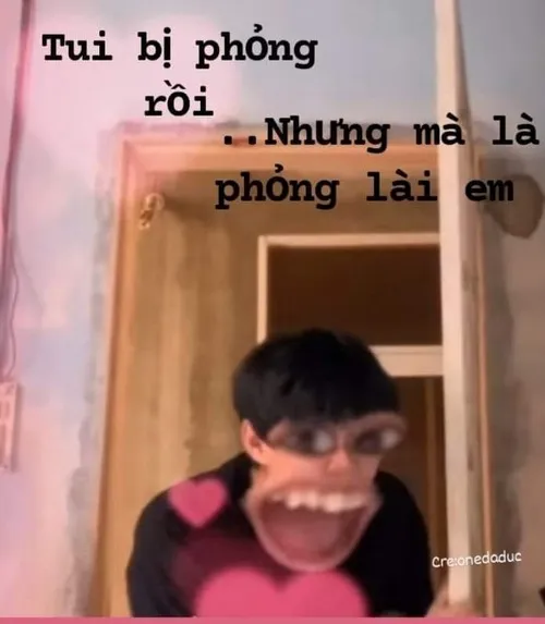 Ảnh thơ troll hài hước khiến người đọc không thể nhịn cười.