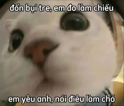 Ảnh chế thơ tình troll nhẹ, hợp trend TikTok mới.