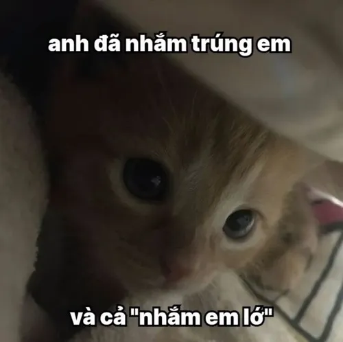 Meme thơ chế tán trai gái cực bắt trend dân mạng.