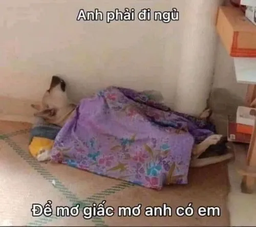 Meme thơ tán gái “chất như nước cất”, khiến crush xiêu lòng.