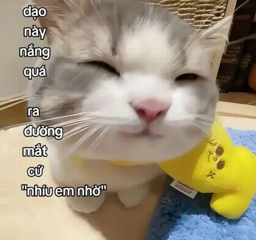 Ảnh thơ tán gái phong cách “thơ đường phố” cực vui nhộn.