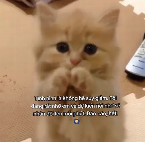 Ảnh thơ troll tán gái bằng câu chữ cực khéo léo.