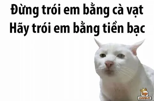 Ảnh chế thơ chế “gáy nhẹ” mà khiến tim người ta rung.