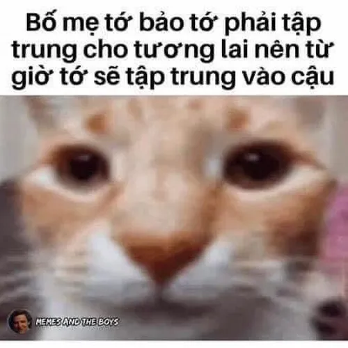 Ảnh chế thơ tán gái khiến mạng xã hội nổ tung tương tác.