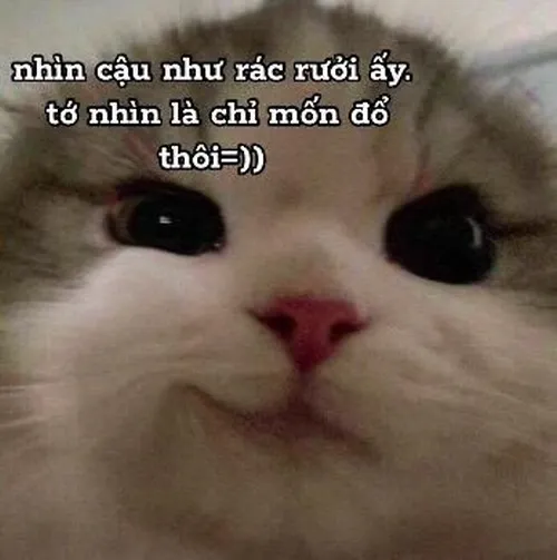 Ảnh chế thơ lục bát tình cảm nhưng pha trò cực mặn.