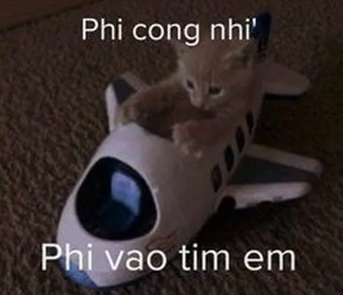 Meme thơ tình troll nhẹ nhưng khiến crush đỏ mặt ngay lập tức.