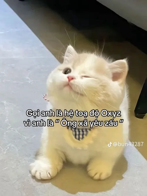 Meme thơ tình pha troll khiến người xem “lụi tim” tức thì.