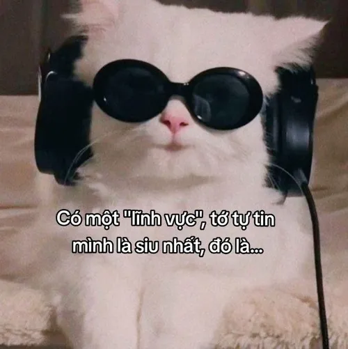 Meme thơ troll ngọt ngào, hợp gu dân mạng trẻ.