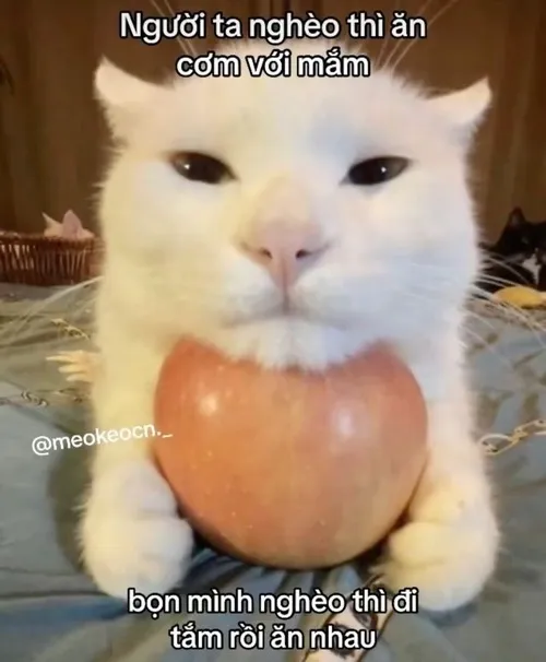 Meme thơ tình tán nhẹ, lời ngọt mà ý tinh nghịch.