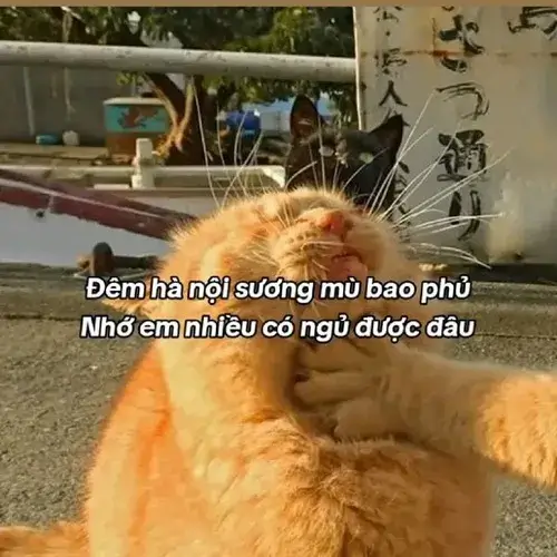 Meme thơ chế tình yêu ngọt ngào lan khắp TikTok.