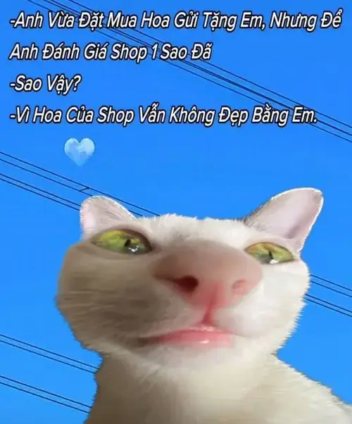 Meme thơ chế tán trai cực khéo và vui nhộn.