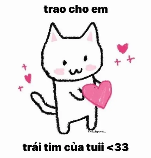 Meme mèo tỏ tình và những pha “quê một cục” khiến tim vẫn rung