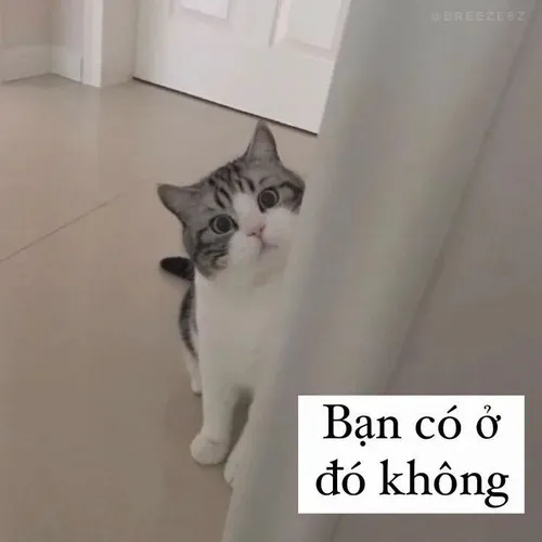 Chơi khăm bằng gương mặt ngơ giúp pha căng thẳng dịu lại.