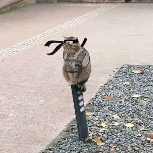 Ảnh chế Itachi quay lưng giữa bóng tối gia tộc u ám