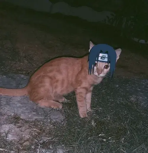 Ảnh troll Itachi thở dài sau hành trình chuộc lỗi đầy dằn vặt