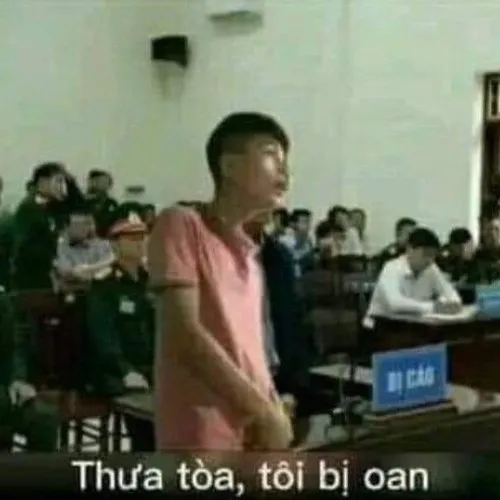 Ảnh meme thưa tòa tôi bị oan, tôi vô tội