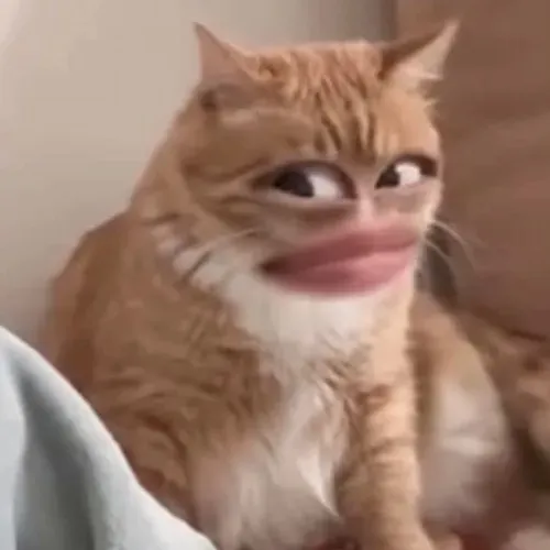 Khi ngây thơ trở thành nghệ thuật: hiện tượng meme vô tội