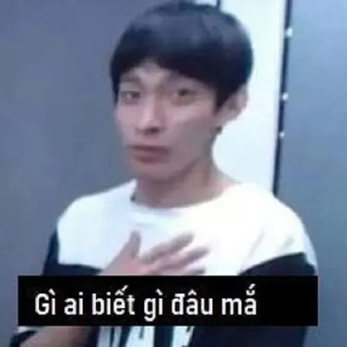 Meme vô tội phản ánh sự hồn nhiên có chủ đích