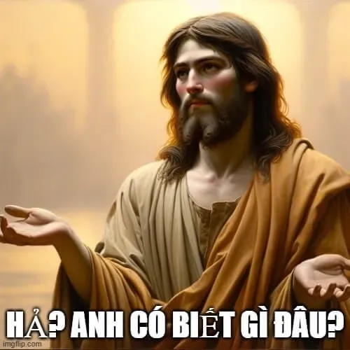 Hình troll khuôn mặt ngơ pha chút phản xạ nhanh