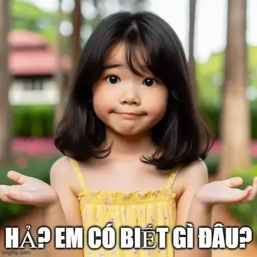 Meme vui dáng ngồi ngơ ngác mà cười không nhịn nổi