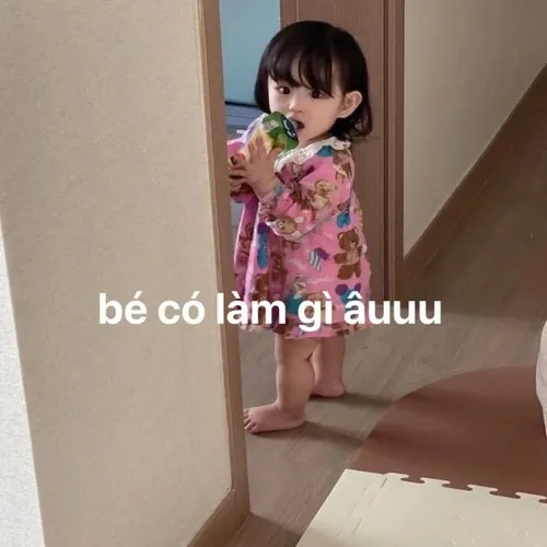 Meme vô tội hé lộ khuôn mặt ngơ ngác nhưng siêu đáng yêu