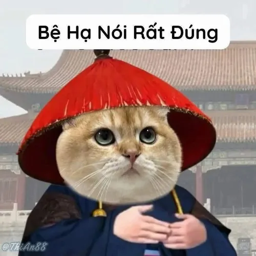 Hình troll khẩu hình lí nhí toát vẻ biết lỗi đáng yêu