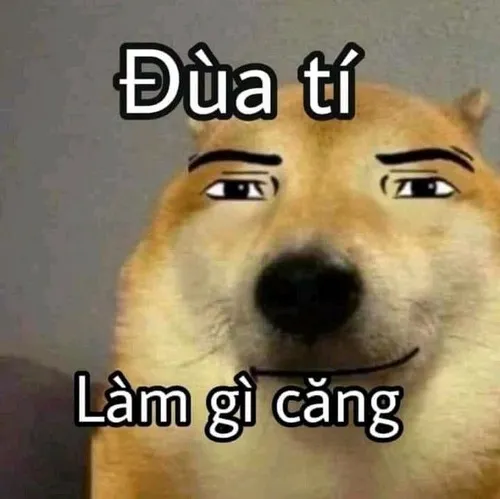 Meme hài nụ cười gượng mang chút ngại ngùng rất duyên
