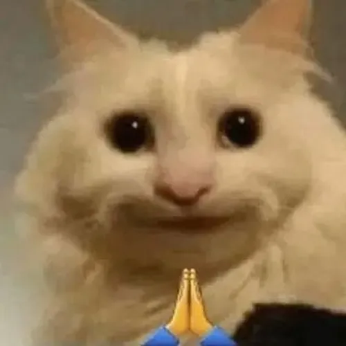 Ảnh troll biểu cảm tội nghiệp khiến không khí trở nên nhẹ lại