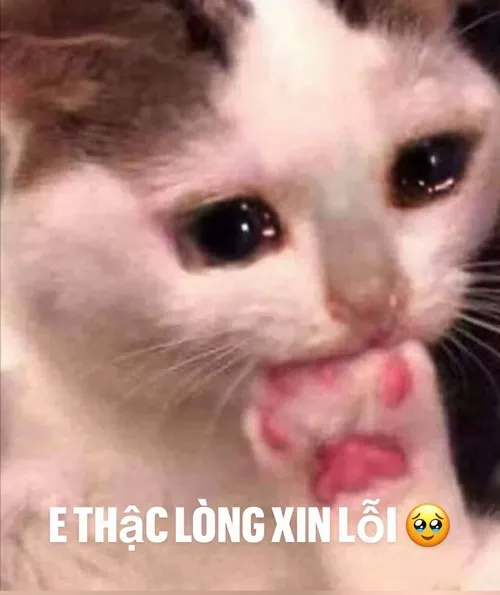 Hình chế meme vui bàn tay vẫy nhẹ thể hiện thiện chí rõ rệt