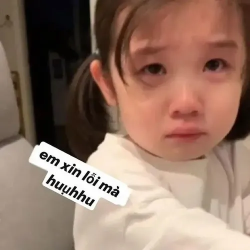 Meme chế lời xin lỗi chân thành khiến bạn thân mềm lòng liền