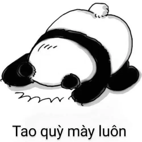 Hình meme hài cảm giác chuệch choạc tạo hiệu ứng dễ thương bất ngờ