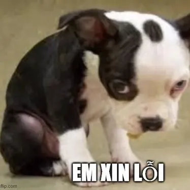 Meme chế kiểu lí nhí gây cười tạo không khí dịu nhẹ bất ngờ