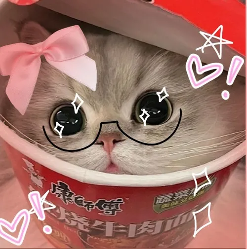 Ảnh avatar Facebook mèo nghiêng đầu biểu cảm ngơ ngác dễ thương