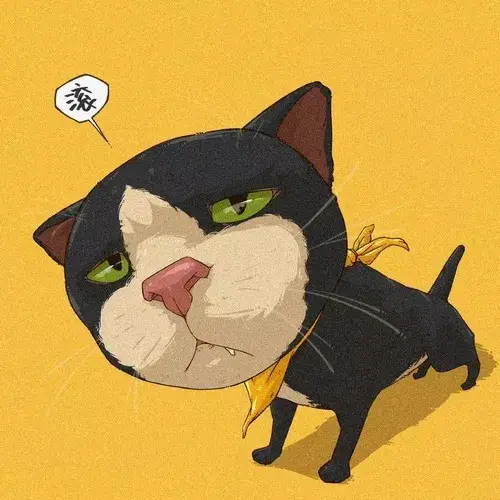 Ảnh avatar mèo nghiêng đầu tiêu cự gần rất rõ