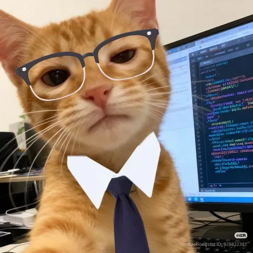 Hình đại diện ngầu mèo được hậu kỳ nhẹ tạo mềm mại