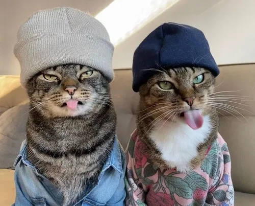 Ảnh đại diện đôi với màu ấm dành cho những bạn thích sự nhẹ nhàng